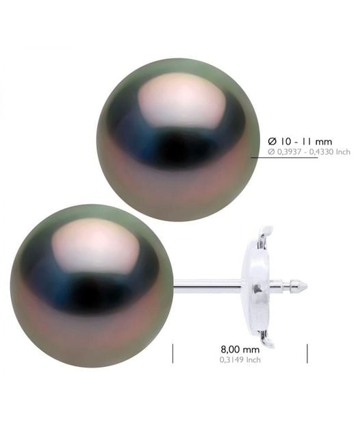 Ateliers Saint Germain Black Earrings