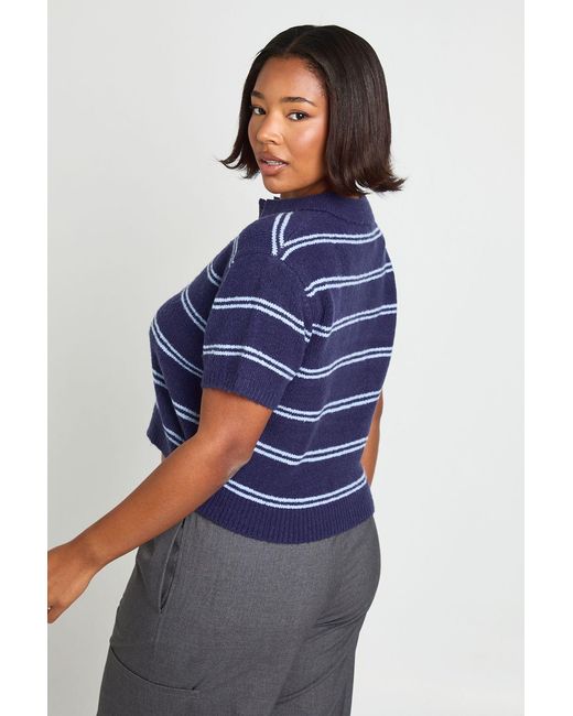 Boohoo Blue Plus Collar Stripe Knit Top