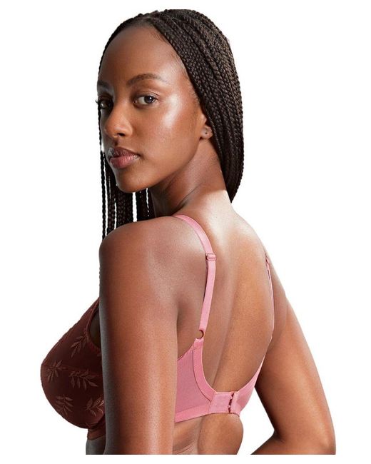 Panache Brown Tango Balcony Bra
