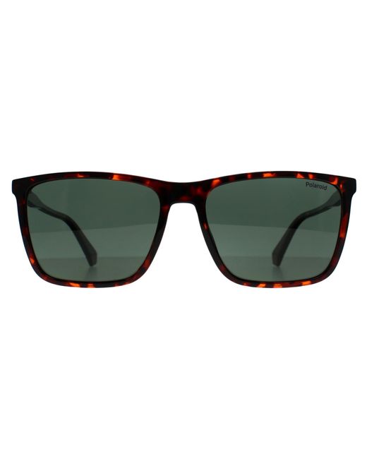Polaroid Pld 4180/S 086 Uc Havanna Grã¼N Polarisierte Sonnenbrille in Green für Herren