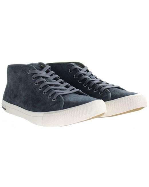 Seavees Blue California Special Night Suede Shoes Leather for men