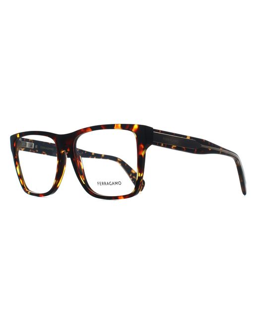 Ferragamo Black Square Dark Tortoise Sf2953N