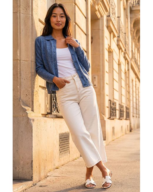 Roman Blue Petite Collar Cardigan