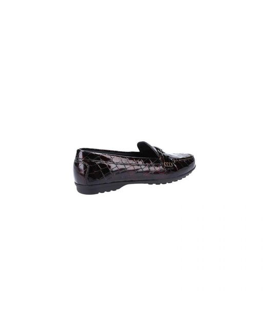 Geox Black Elidia Slip On Ladies Shoes