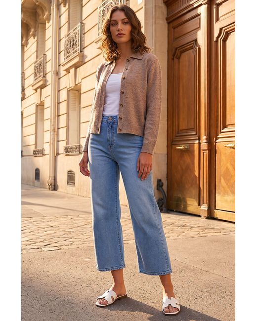 Roman Brown Petite Collar Cardigan