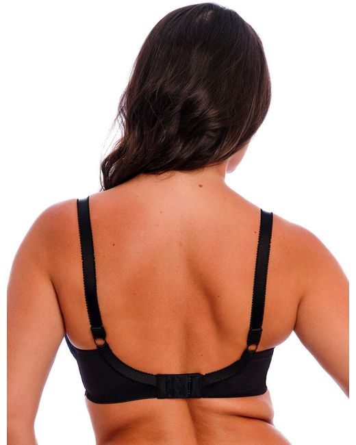 Fantasie Blue Emmaline Plunge Bra