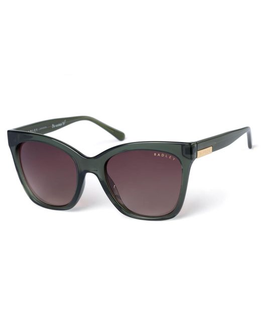 Radley Brown Cat Eye Gradient Rds-6504
