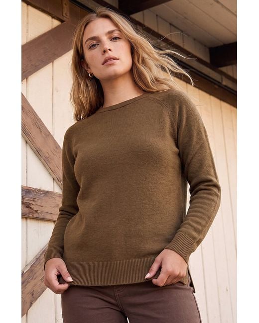 Roman Brown Plain Soft Crew Neck Jumper