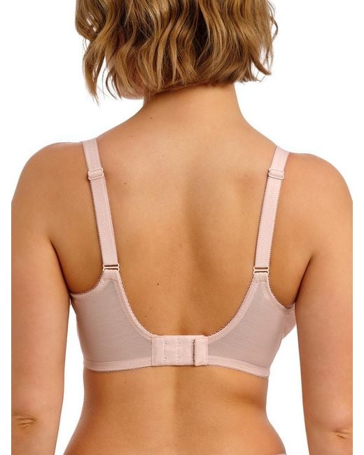 Freya Brown Quinn Plunge Bra