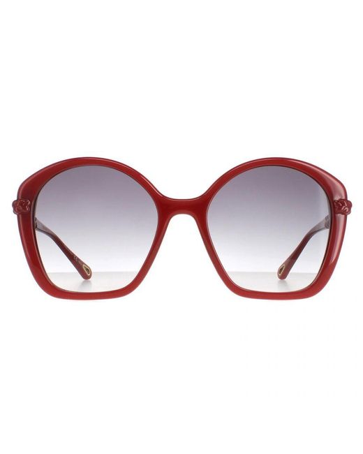 Chloé Brown Chloé Square Dark Gradient Ch0003S
