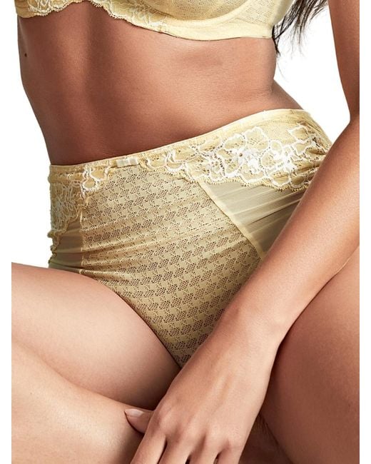 Panache Brown Envy Deep Brief