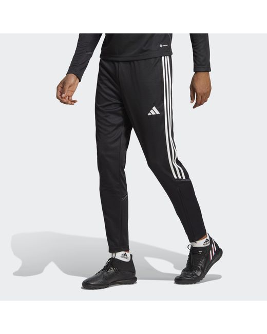 Adidas Originals Black Tiro 23 Club Training Pants for men