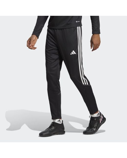 Adidas Originals Black Tiro 23 Club Training Pants for men