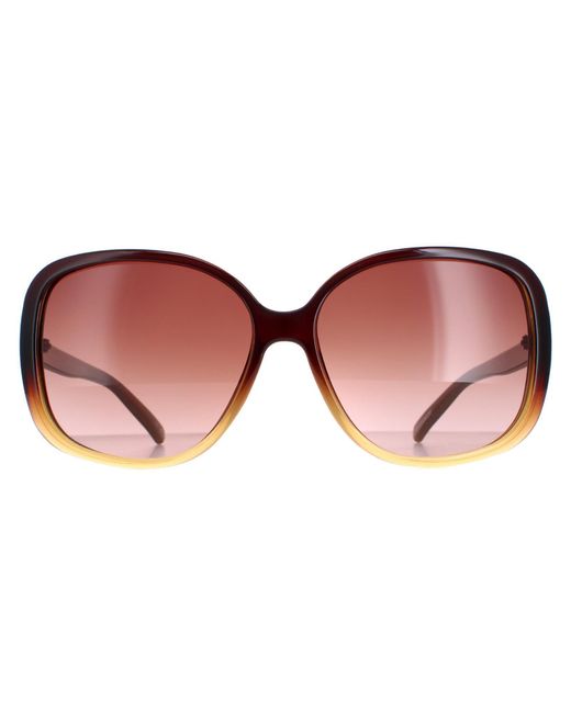 Ted Baker Brown Sunglasses Tb1312 Krash 142