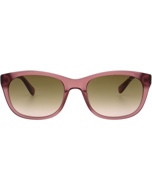 Ted Baker Brown Iona Sunglasses for men