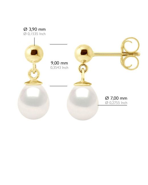 Ateliers Saint Germain White Earrings