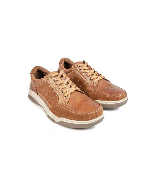 Hush Puppies Brown Finley Memory Foam for men