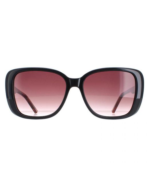 Ted Baker Brown Sunglasses Tb1640 Margo 001 And Tortoise Gradient