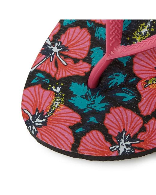 Havaianas Black Ladies