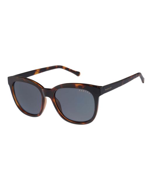 Radley Brown Round Tortoise Rds-6533