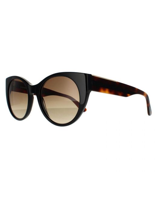 Lacoste Brown Cat Eye And Havana Gradient Sunglasses