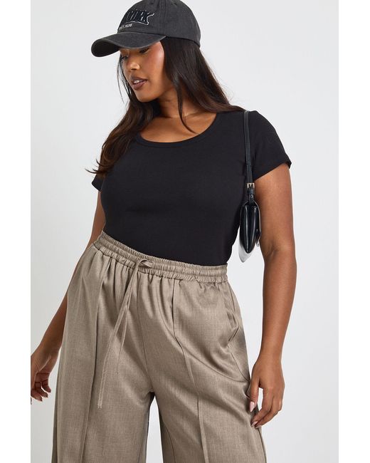 Boohoo Blue Plus Basic Rib Scoop Neck Fitted Short Sleeve Top