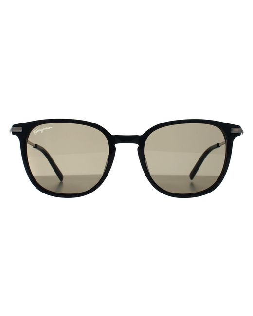 Ferragamo Brown Round Sf1015S for men