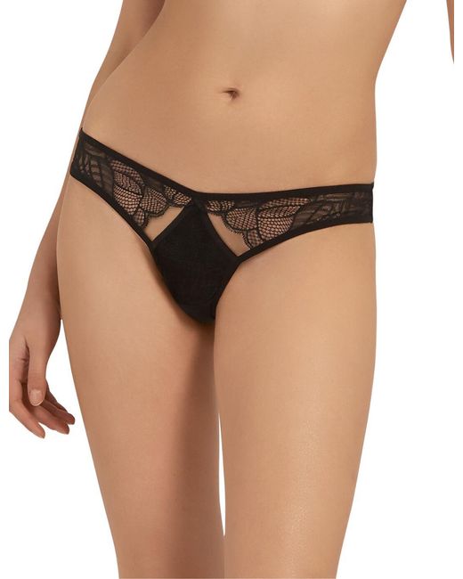 Bluebella Brown 35105 Emerson Thong