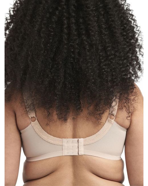 Goddess Brown Keira Underwired Bra Fawn