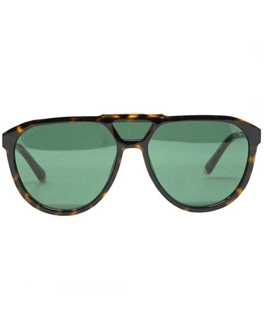 Police Green Splc50M 0722 Lewis Hamilton 22 Sunglasses for men