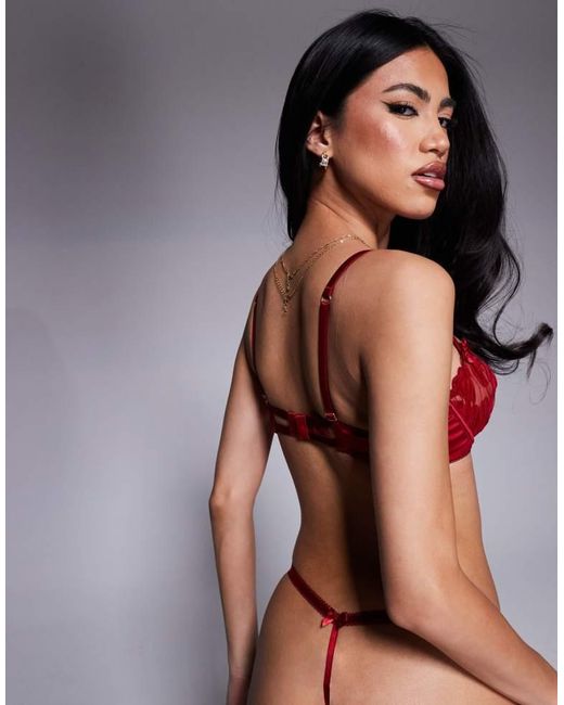 Boux Avenue Rosetta Embroidered Baclonette Bra