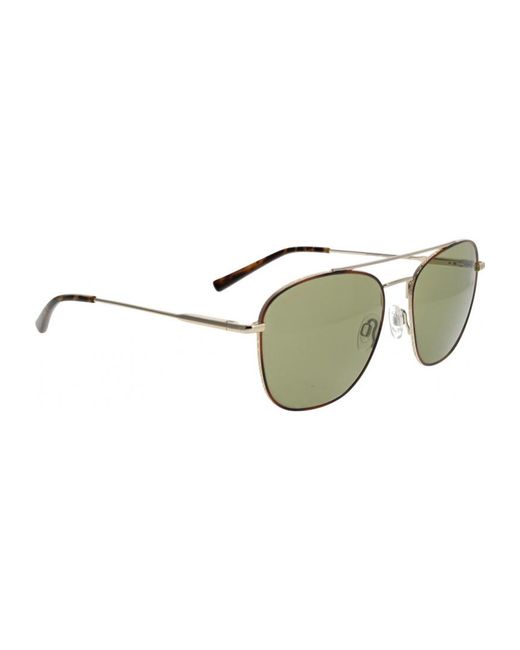 Serengeti Brown Ss598005-S 58 Carroll Large Sunglasses for men