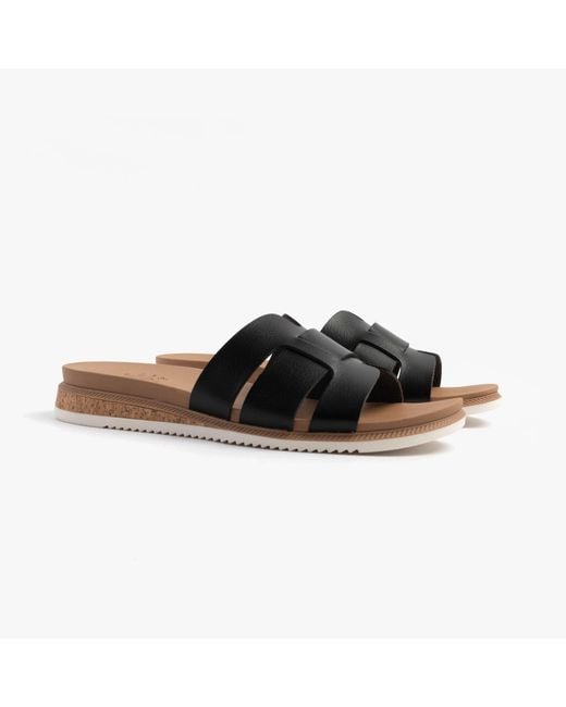 Skechers Brown 114707/Blk Bobs Desert Kiss Low