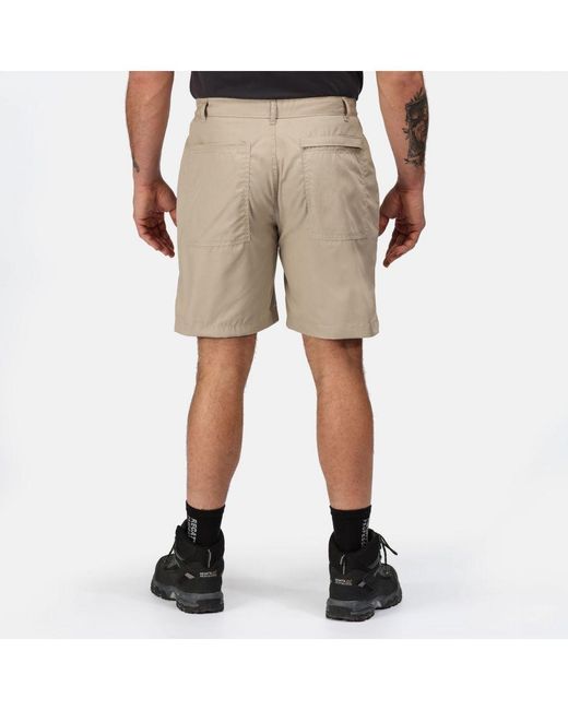 Regatta Natural New Action Shorts (Lichen) for men