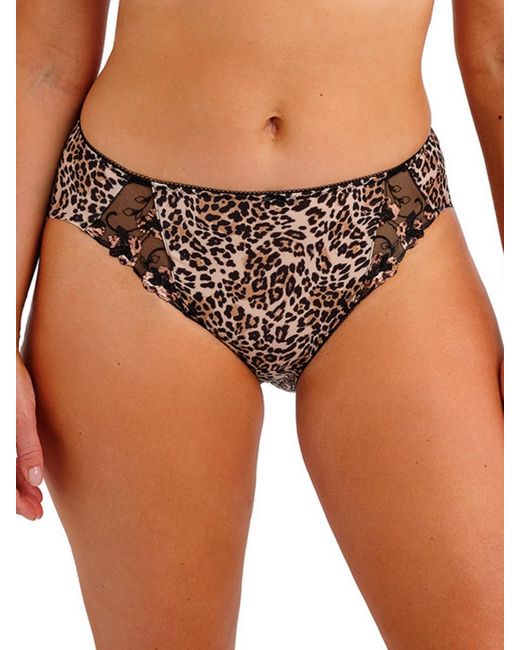 Fantasie Brown Talia Brief