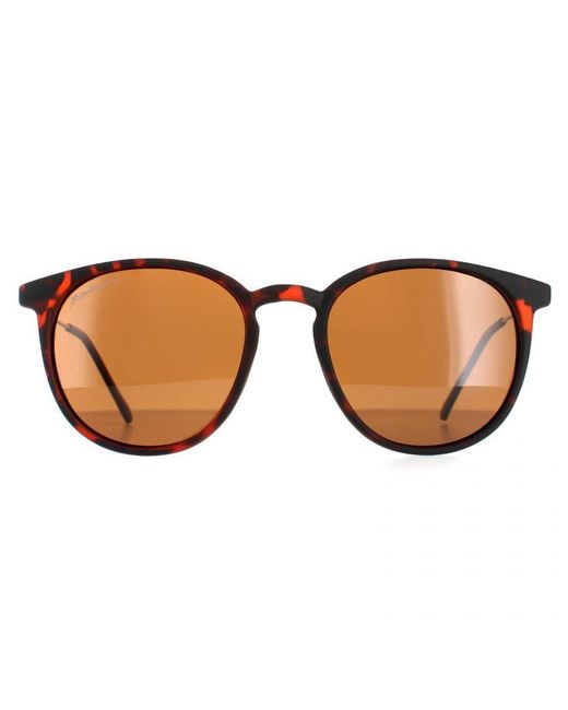 Montana Brown Round Havana Rubbertouch Polarized Mp33 Sunglasses