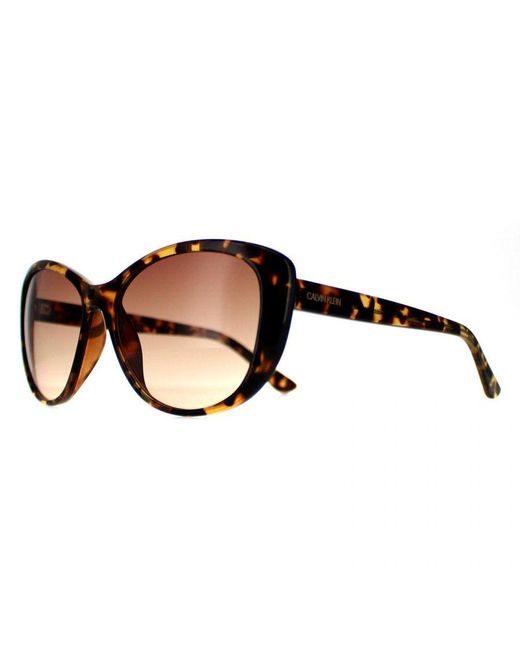Calvin Klein Brown Cat Eye Tortoise Gradient Ck19560S
