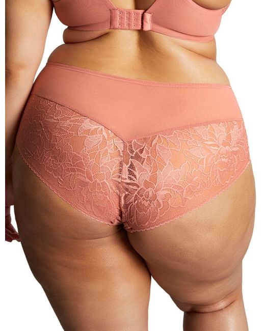 Sculptresse By Panache Pink Dream Deep Brief
