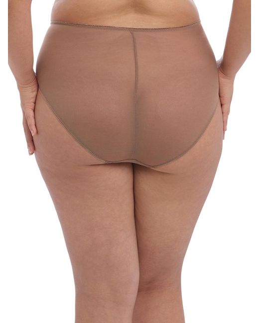 Elomi Brown Matilda Full Brief