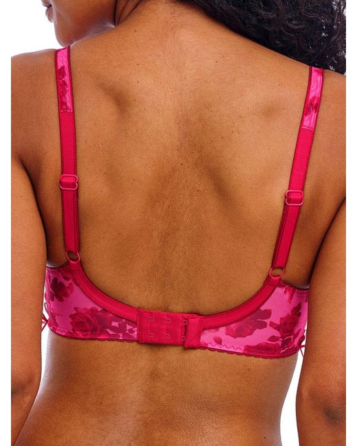 Freya Pink Rose Blossom Plunge Bra