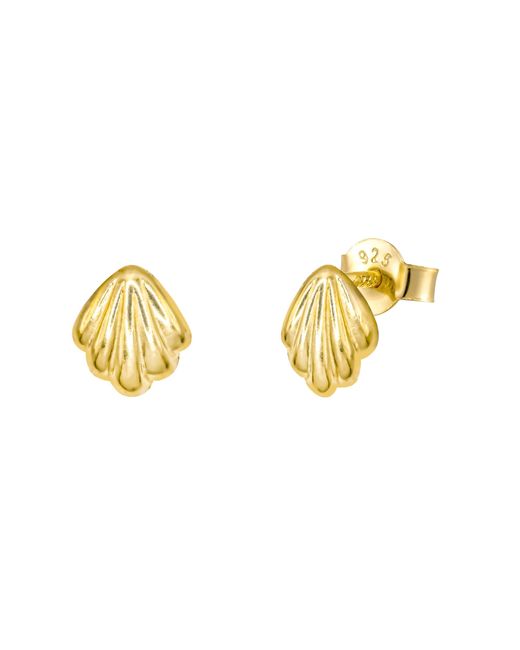 The Jewellery Stockroom Metallic Plated Shell Stud Earring