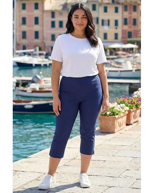 Roman Curve Blue Cropped Elastic Waist Stretch Trouser