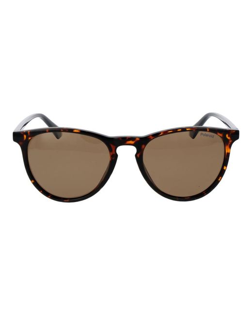 Polaroid Multicolor Brown Plastic Sunglasses