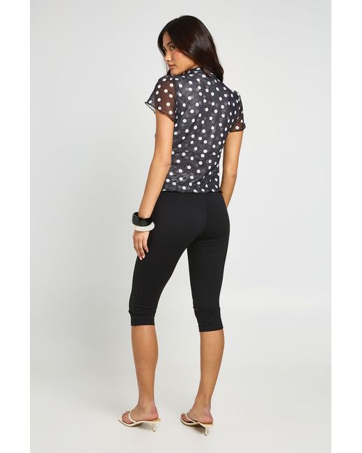Boohoo Black Polka Dot Mesh High Neck Keyhole Top