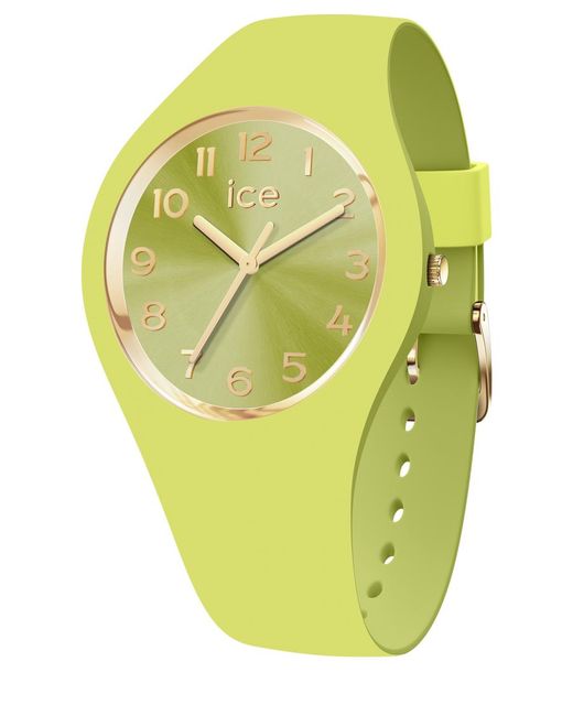 Ice-watch Green Ice Watch Ice Duo Chic