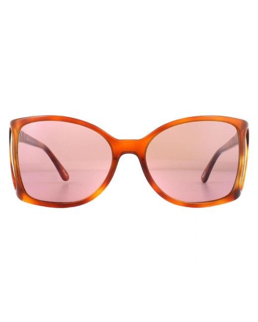 Persol Pink Sunglasses Po0005 96/4R Terra Di Siena for men