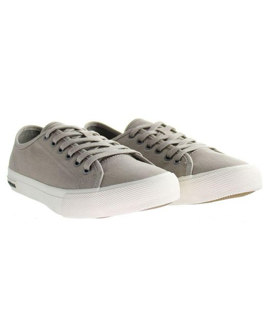 Seavees Gray Monterey Sneaker Standard Khaki Shoes Canvas for men