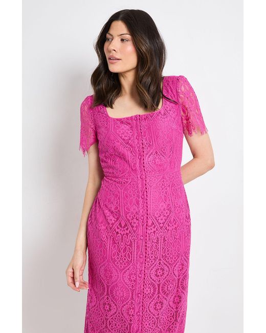 Wallis Pink Lace Button Midi Dress