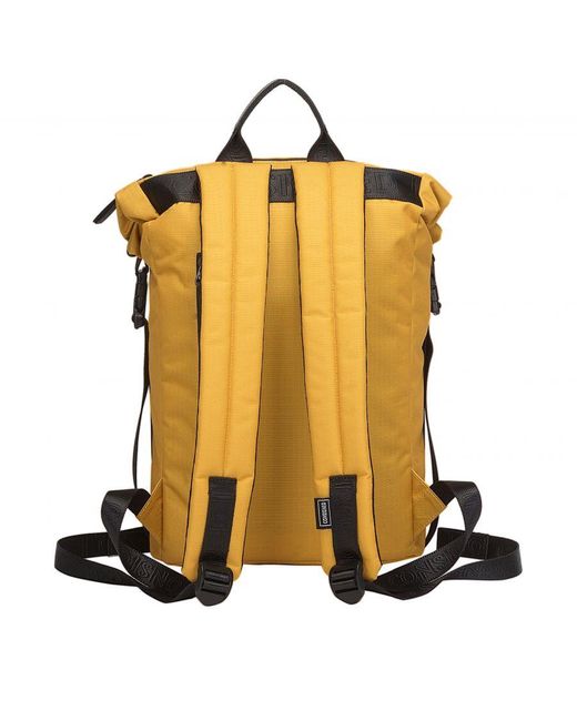 Consigned Yellow Cornel M Roll Top Backpack