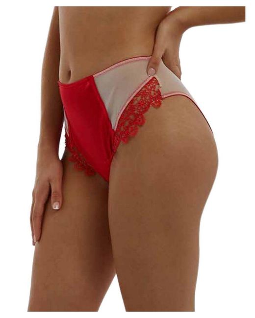 Playful Promises Red Anaise Highwaist Brief